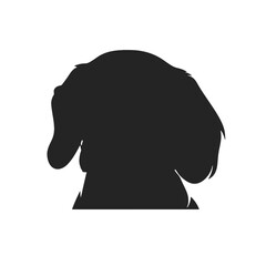 Dachshund dog face isolated on a white background