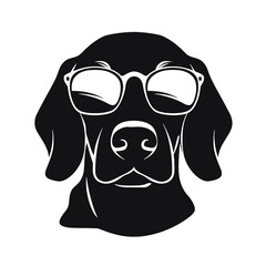 Dachshund dog face isolated on a white background