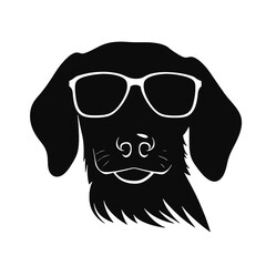 Dachshund dog face isolated on a white background