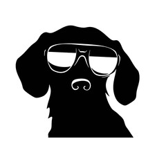 Dachshund dog face isolated on a white background