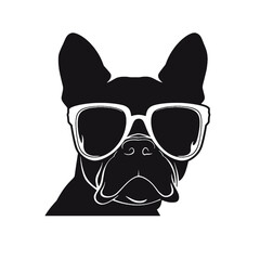 Portrait of french bulldog wearing sunglasses