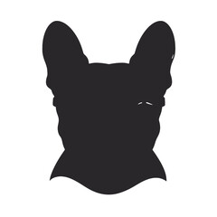 Portrait of french bulldog wearing sunglasses