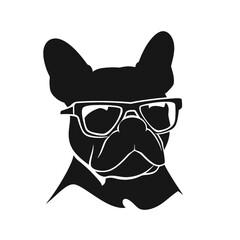 Portrait of french bulldog wearing sunglasses