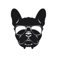 Portrait of french bulldog wearing sunglasses