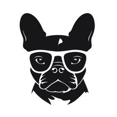 Portrait of french bulldog wearing sunglasses