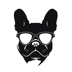 Portrait of french bulldog wearing sunglasses