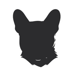 Portrait of french bulldog wearing sunglasses