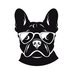 Portrait of french bulldog wearing sunglasses
