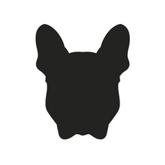 Portrait of french bulldog wearing sunglasses