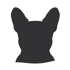 Portrait of french bulldog wearing sunglasses