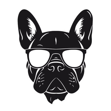 French bulldog Portrait. Vector illustration.