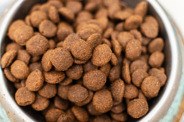 Top view of a plate with pieces of balanced pet food.