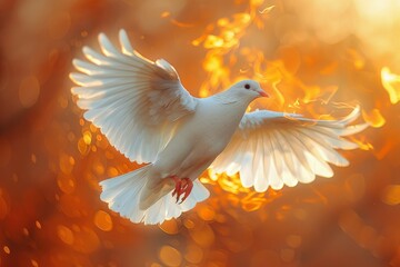 A spectacular image of a dove with its wings spread wide, engulfed in flames against an ember-like backdrop