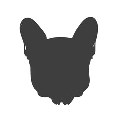 French Bulldog with sunglasses 