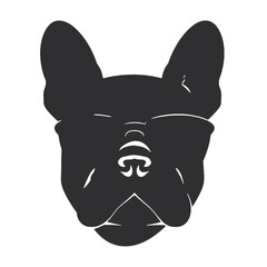 French Bulldog with sunglasses 