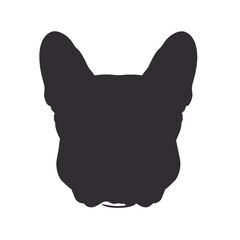 French Bulldog with sunglasses