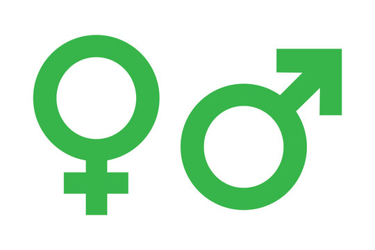 Gender symbol vector icon