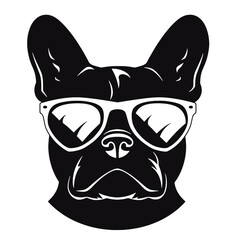 French Bulldog with sunglasses