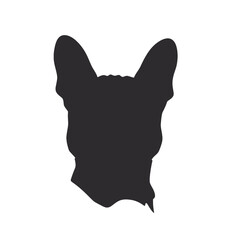 French Bulldog with sunglasses