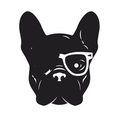 French Bulldog with sunglasses