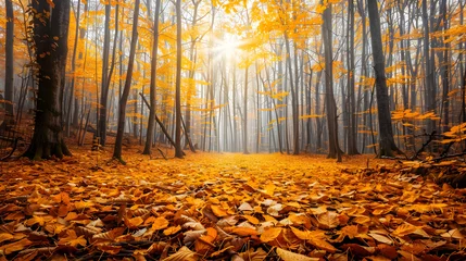 Fotobehang A Magical Autumn: The Enchanting Dance of Fall in a Serene Forest © Jeffery