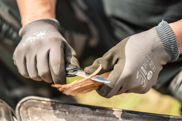 ナイフでフェザースティックを作る手元