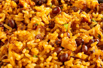 Baião de Dois traditional Brazilian food made with rice, beans, sausage and rennet cheese close up