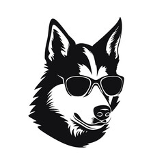 Husky banner template. Siberian Husky head on white background. Husky dog