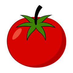 Tomato Isolated on White Background