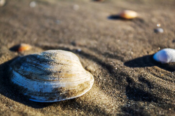 Sea, seashore - Europe, Romania, Constanta region, 2023 year