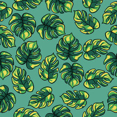 Monstera leaves seamless pattern background