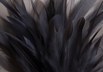 close up of black feathers