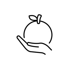 Orange fruit outline icons, minimalist vector illustration ,simple transparent graphic element .Isolated on white background