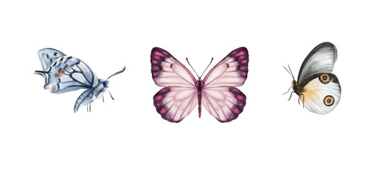 Watercolor colorful butterflies, isolated on white background. blue, yellow, pink and red butterfly 