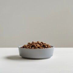 Minimalistic photo of a bowl of dog food on white background