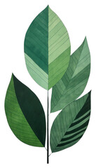 Fototapeta na wymiar PNG Plant tree annonaceae pattern