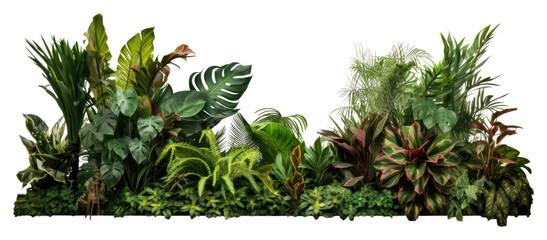 Fototapeta premium PNG Vegetation outdoors nature garden