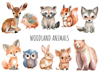 Set of watercolor forest animals. Woodland animals. Bear, fox, boar, deer, squirrel, owl, hare, hedgehog.