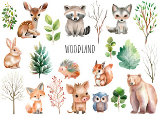 Woodland animals. Set of wild watercolor forest animals. Green trees and plants. Bear, fox, deer, boar, hedgehog.