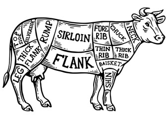 Meat diagram cow engraving PNG illustration. Scratch board style imitation. Black and white hand drawn image.