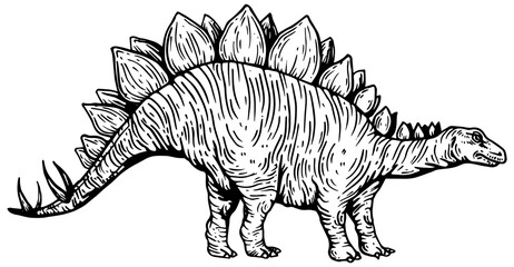 Stegosaurus dinosaur prehistoric extinct animal engraving PNG illustration. Scratch board style imitation. Black and white hand drawn image.