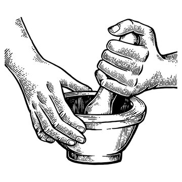 recommend clip art: Mortar and pestle in hands engraving PNG illustration. Scratch board style imitation. Black and white hand drawn image.