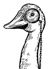 Goose bird witn monocle engraving PNG illustration. Scratch board style imitation. Black and white hand drawn image. - obrazy, fototapety, plakaty