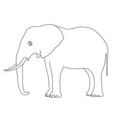 Elephant Outline | Elephant Drawing | Elephant Illustration