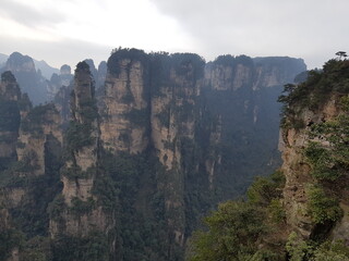 landscape with trees in jangjiaji trip