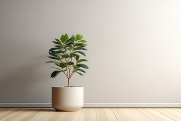 A potted plant sits on a wooden floor against a beige wall. - obrazy, fototapety, plakaty