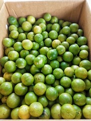 Fresh limes in a box.