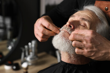 Professional barber working with client's mustache in barbershop, space for text