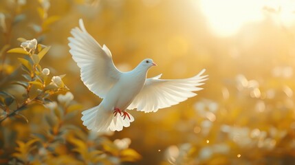 Fototapeta premium Celestial Harmony: White Bird in Divine Light