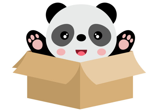 Cute panda in cardboard box